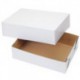 CAKE BOX CORRUGATE 10X14X4 2CT