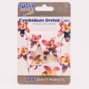 PME Cymbidium Orchid Flow/Petal cutter set/2