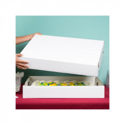 CAKE BOX CORRUGATE 10X14X4 2CT