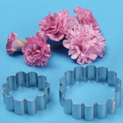 Carnation Set 3