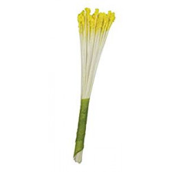 JEM Plain Stamen Fine -Yellow- pk/50