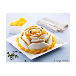 PEACH HIGH ROSE-SFT251