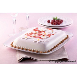 SFT 302 DAISY PAN
